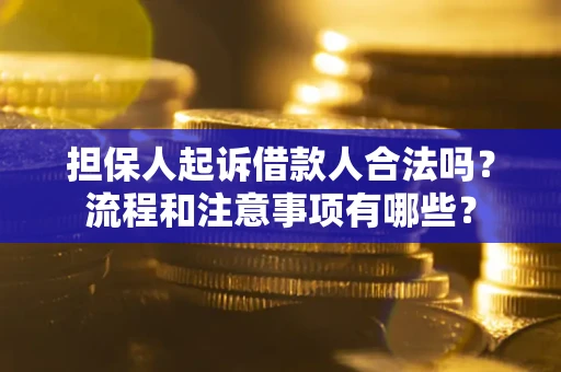 济南担保人起诉借款人合法吗？流程和注意事项有哪些？