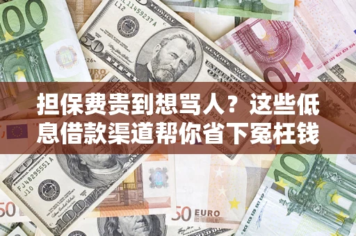 济南担保费贵到想骂人？这些低息借款渠道帮你省下冤枉钱