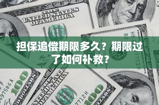 济南担保追偿期限多久？期限过了如何补救？