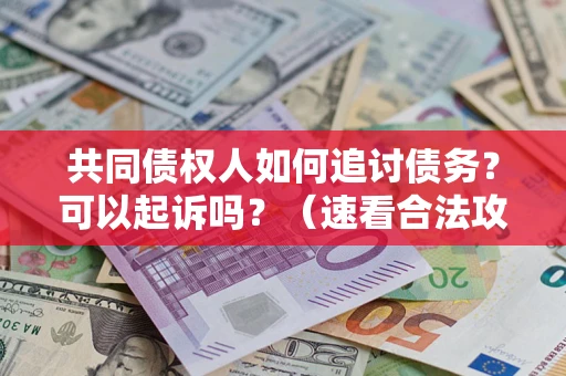 济南共同债权人如何追讨债务？可以起诉吗？（速看合法攻略）